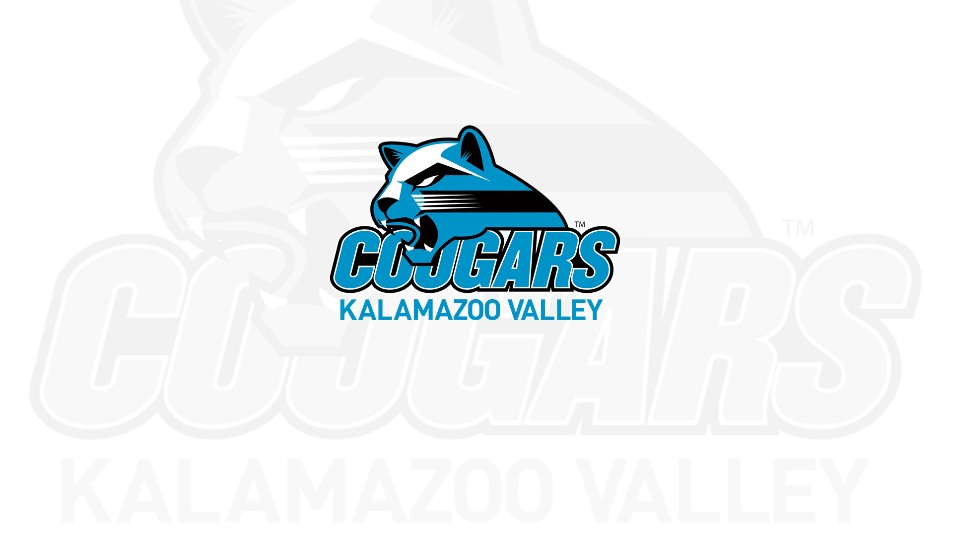 Spring into Valley Baseball, Softball Seasons with a Home Game
